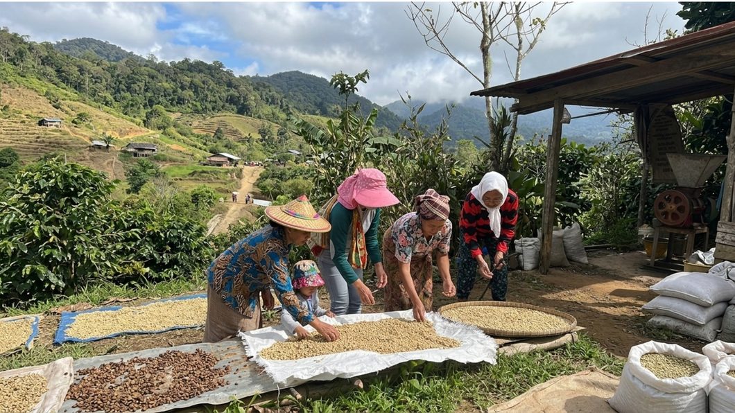 Direct trade with coffee farmers in Sabah