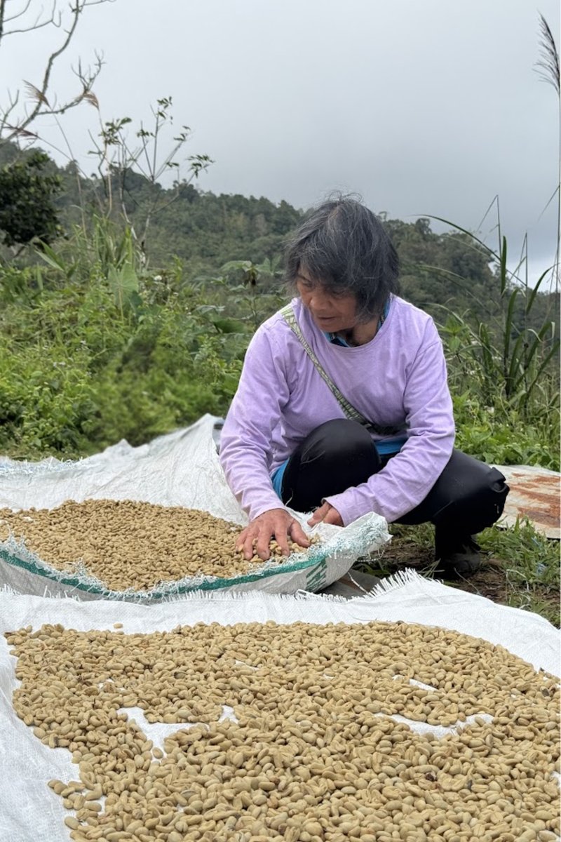 Maria, coffee farmer, Sabah