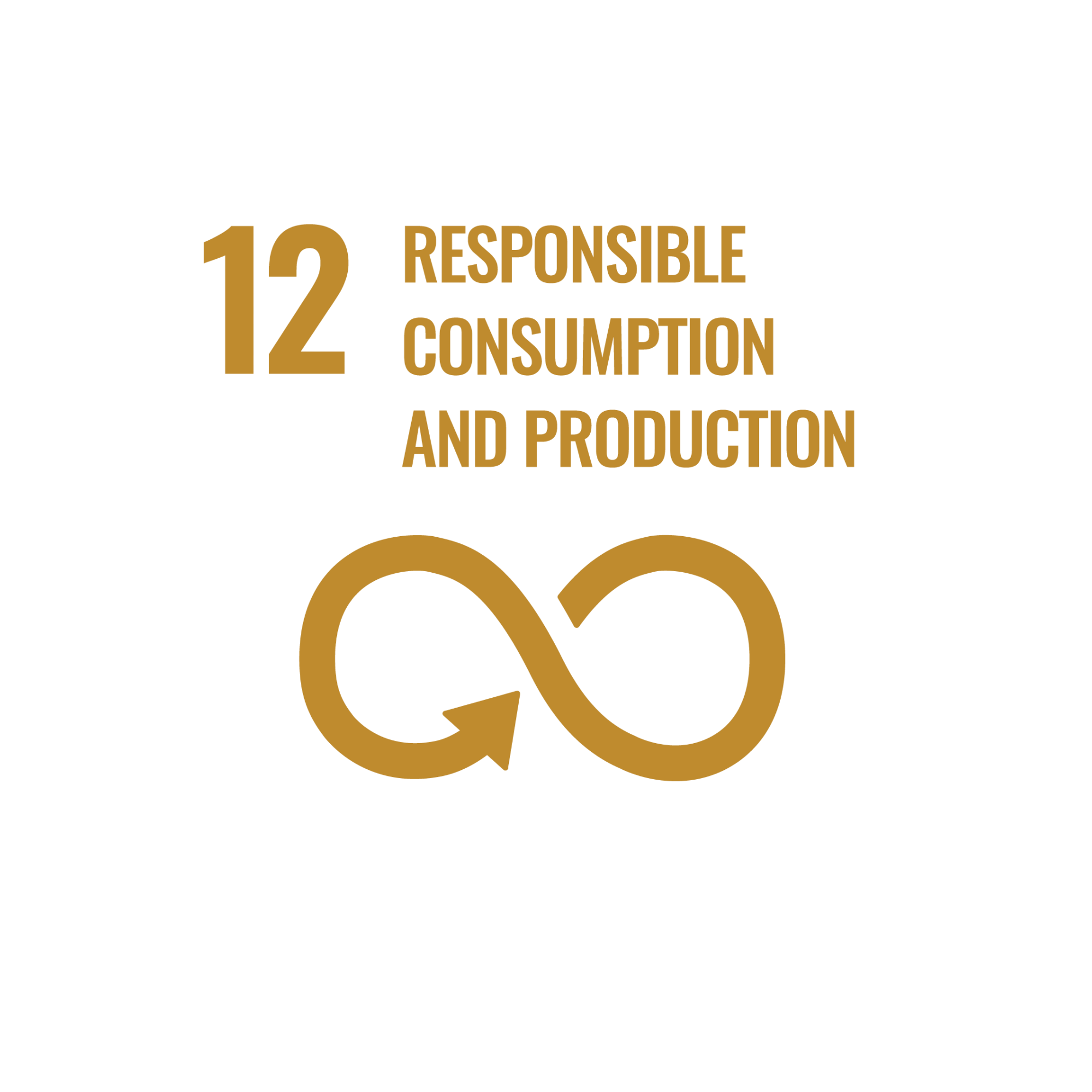 SDG 12