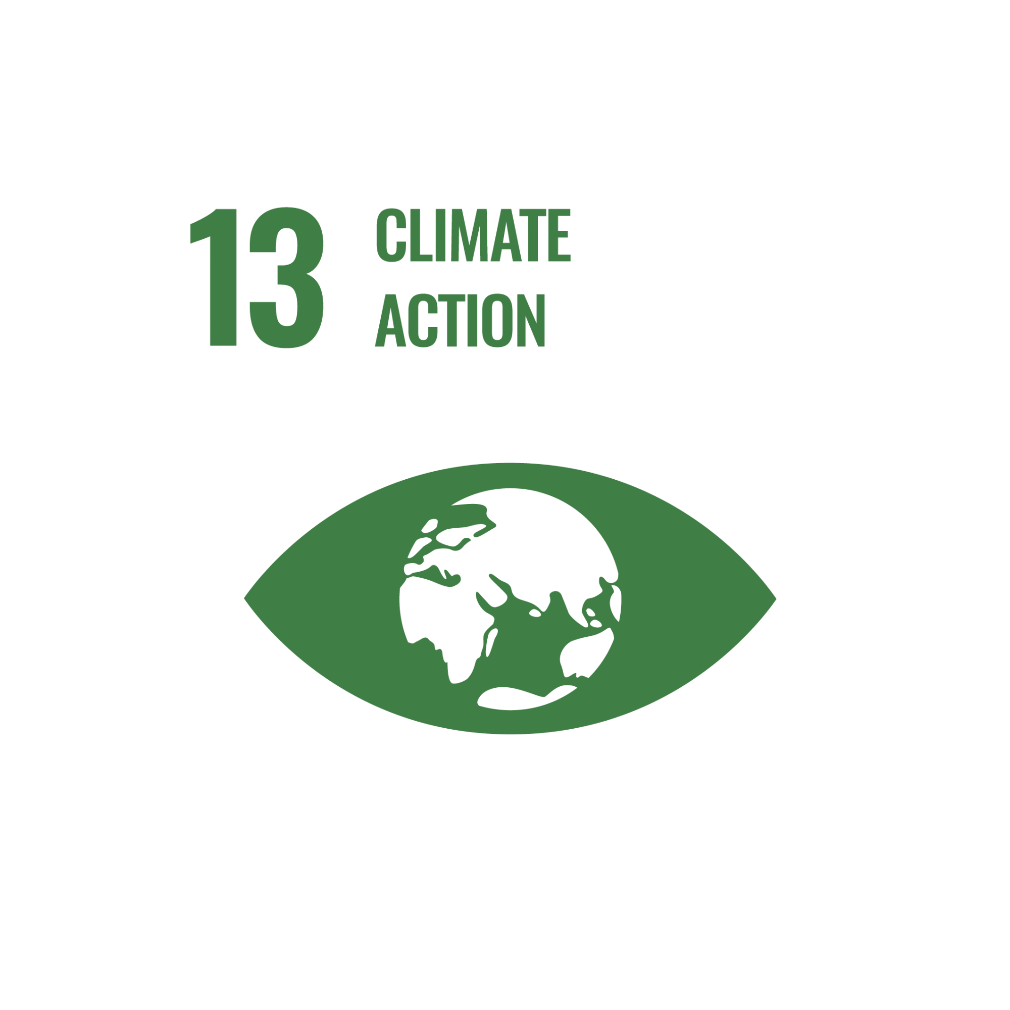 SDG 13