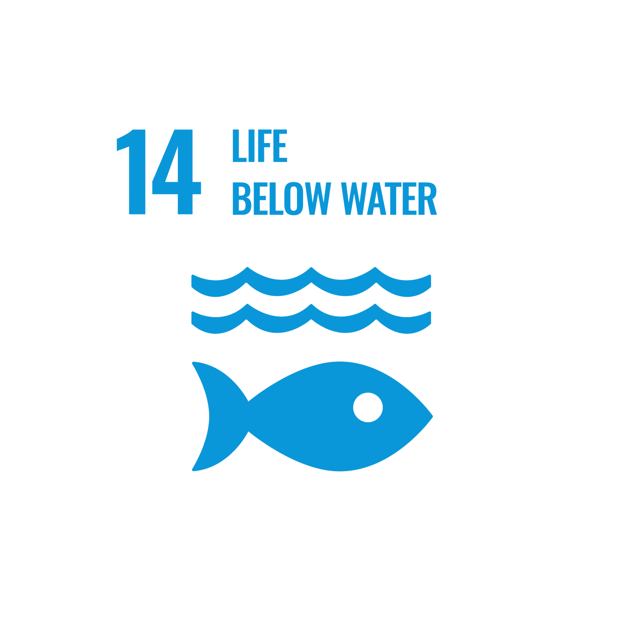 SDG 14