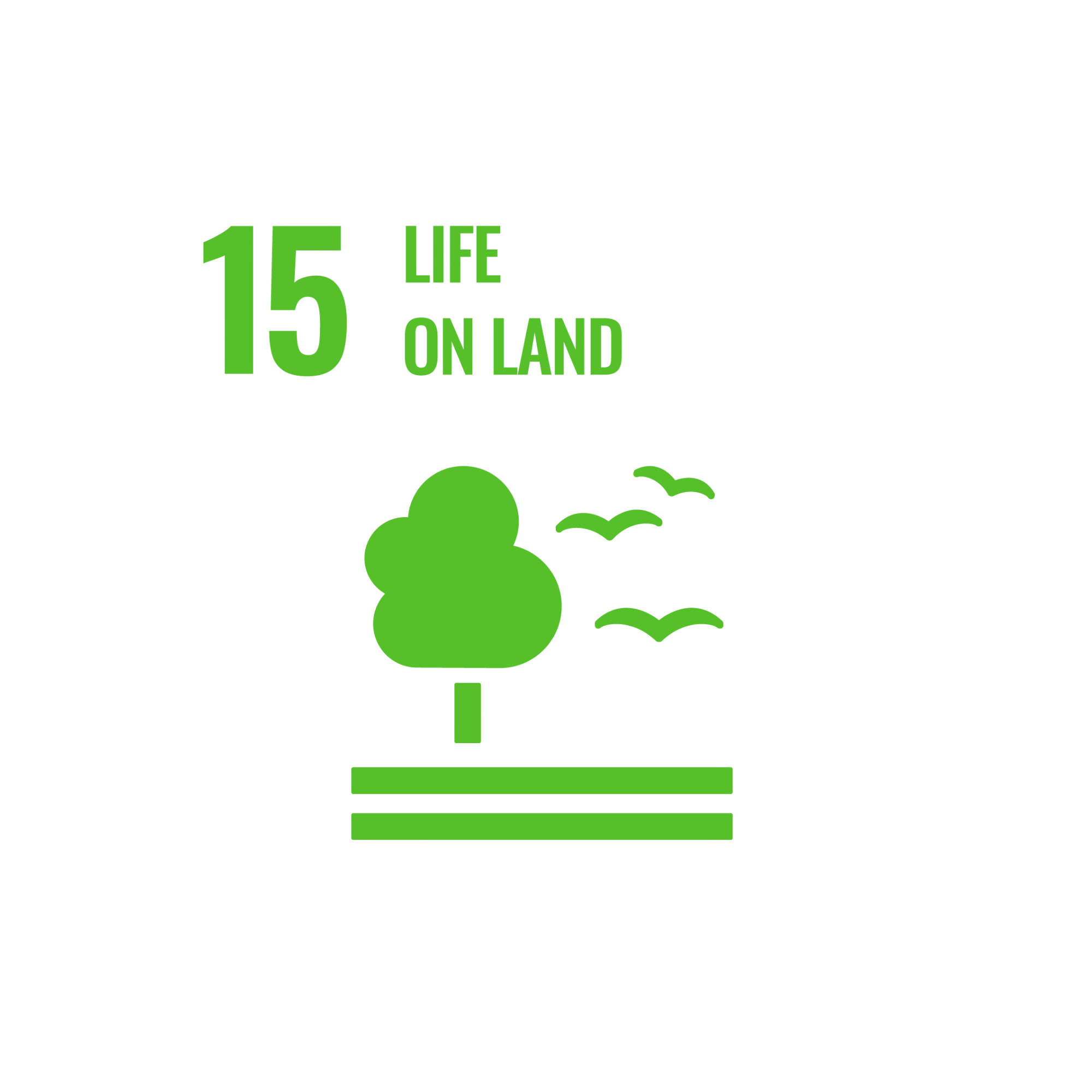 SDG 15